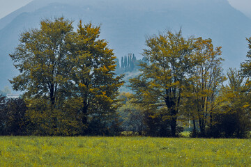 Ezzelino tower among the trees