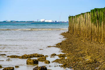 ocean with wooden poles and the industrial zone of vlissingen in the background, Breskens beach, The Netherlands