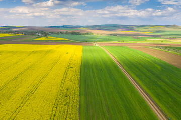 Fresh colors fields from above