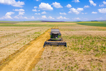 Combine collecting grains during field harvest