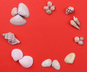 Red background with different small seashells around