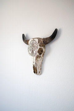 Southwestern Decorative Cow Skull Head Hanging on White Bedroom Wall in Desert Home