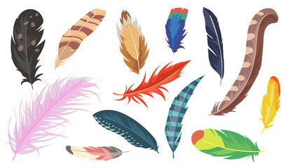 Variety of colorful feathers flat item set. Cartoon shiny ostrich, pheasant and parrot isolated vector illustration collection. Bird feather and decoration concept