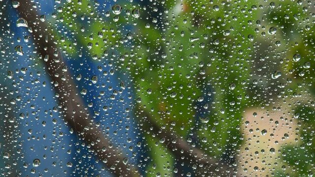 Water drops on transparent glass window with blurred background of tree foliage outdoor. Raidrops fall and drip by glass surface