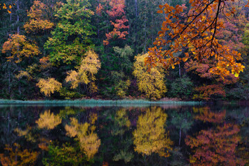 Reflets d'automne sur un étang