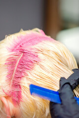 Hair coloring in pink color on hair roots of young blonde woman in hair salon