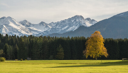 herbst im allgäu © lotharnahler
