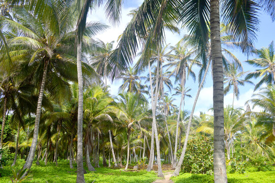 Parque Tayrona Santa Marta

