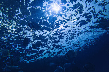 water surface with foam view from below