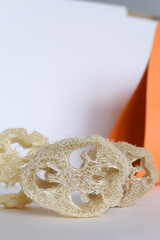 Closeup natural loofah sponge in white background. - obrazy, fototapety, plakaty