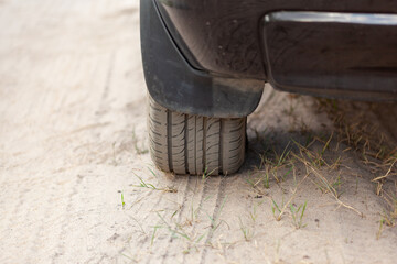 the rear wheel of the black car on a dirt road, grass grows out of the sand with blurry background, used as a background or texture, soft focus