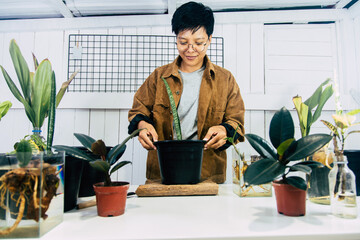 Asian haircut women in a brown jacket and grey shirt taking care of a plant house with a tree on...