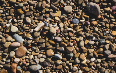 Natural rocky background. Perfect abstract nature.