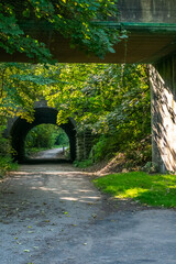 a selection of shots taken in a park