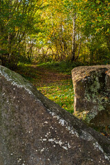 a selection of shots taken in a park