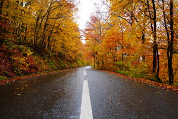 Amazing autumn scenery in early November 