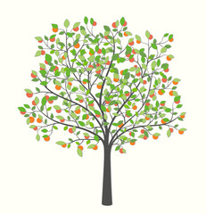 Fruit tree with leaves and fruit on a light background