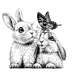 Little rabbits with a butterfly. Wall sticker. Sketch, artistic portrait of two cute little rabbits with a butterfly on a white background. Digital vector drawing - 389925417