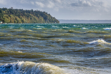 Windy Seashore Landscape 2