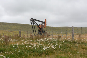 Fototapeta na wymiar petroleum pump, Extraction pump in an oil field, Patagonia, Argentina