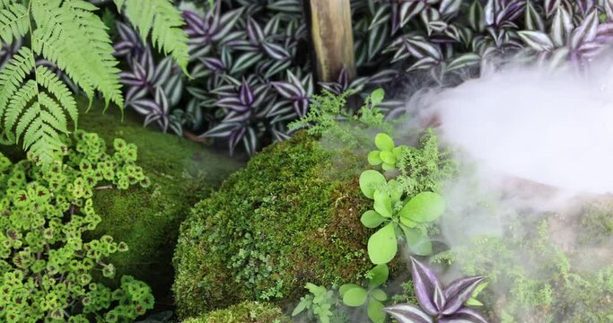 Tropical leaves and moss covered stones with vapour and slashing water.