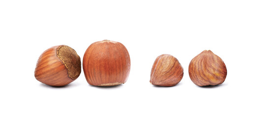 Group healty hazelnuts isolated on white background