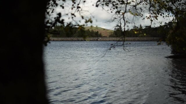 Cinematic shot of the reservoir and trees