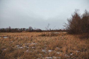 Field in the late autumn
