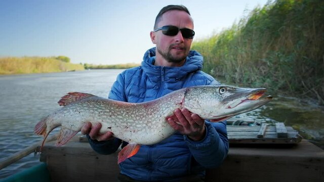 Angler with fish. Fisherman holds trophy pike fish (Esox lucius) being in the boat on a river