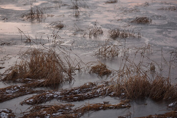 Lake by the late autumn