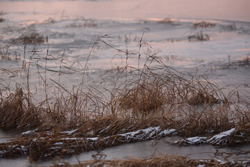 Lake by the late autumn