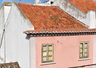 Tree growing out of a red tile roof in Lagos, Portugal