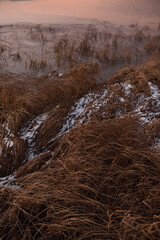 On the shore of the lake