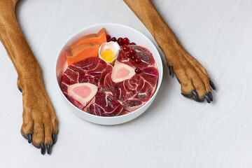 Natural raw dog food. Fresh pure beef meat, bone, egg, pumpkin and berries in bowl and dog's paws on white background. BARF diet for dogs.