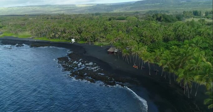 4k aerial forward tracking , left to right pan view of Punaluu beach,The beach has black sand created by lava flowing into the ocean, also has a large turtle population,Big Island,Hawaii,usa