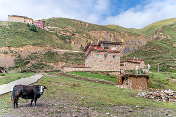 The view of traditional old small tibetan remote village and family house on Tibet