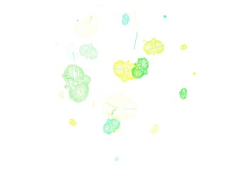 Fototapeta na wymiar Light Blue, Green vector doodle template with flowers.