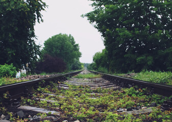 Primer plano de una vía del tren en un día de lluvias. Una vieja vía del tren que discurre entre vegetación y que se dirige recta al horizonte en un oscuro día de lluvia junto a Olimp en Rumanía. - obrazy, fototapety, plakaty