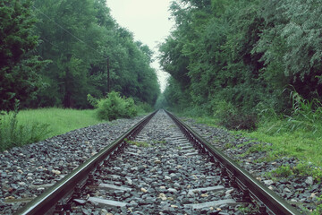 Fototapeta premium Primer plano de una vía del tren en un día de lluvias. Una vieja vía del tren que discurre entre vegetación y que se dirige recta al horizonte en un oscuro día de lluvia junto a Olimp en Rumanía.