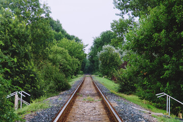 Primer plano de una vía del tren en un día de lluvias. Una vieja vía del tren que discurre entre vegetación y que se dirige recta al horizonte en un oscuro día de lluvia junto a Olimp en Rumanía.
