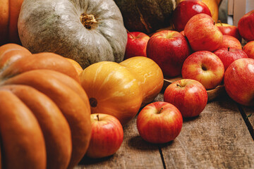 Autumn harvest of pumpkins and apples on wooden board