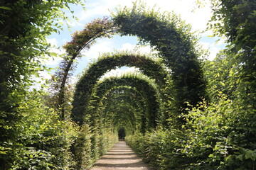 Green Tunnel