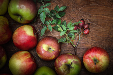 apples in bulk and a sprig with rose hips