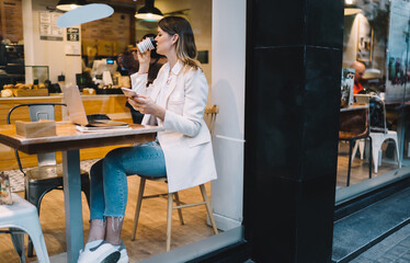 Side view of Caucasian millennial freelancer drinking caffeine beverage during remote working in cafe interior, window view of skilled woman with smartphone and laptop technologies taste coffee