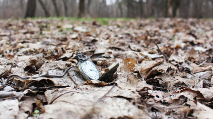 old pocket watch on dry foliage