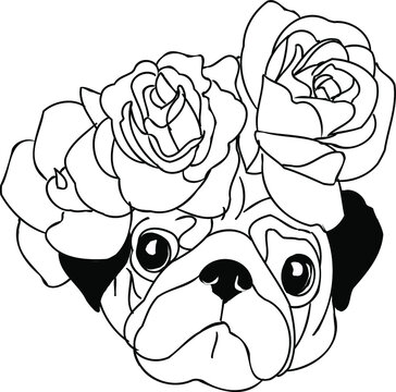 pug with flowers vector illustration. Beautiful wreath of roses. favorite pet. botons of colors. funny dog graphic sketch. Valentine's day greeting card
