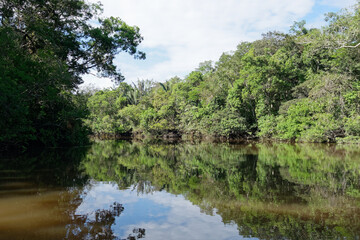 Fototapeta na wymiar The Cuyabeno River in Cuyabeno Wildlife Reserve (Amazonia, Ecuador)