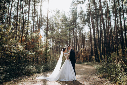 Walk of the bride and groom in the summer forest. Beautiful outdoor photo session.