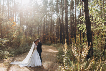 Walk of the bride and groom in the summer forest. Beautiful outdoor photo session.