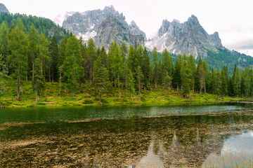 Fototapeta na wymiar The lake of Misurina, Dolomites, at summer